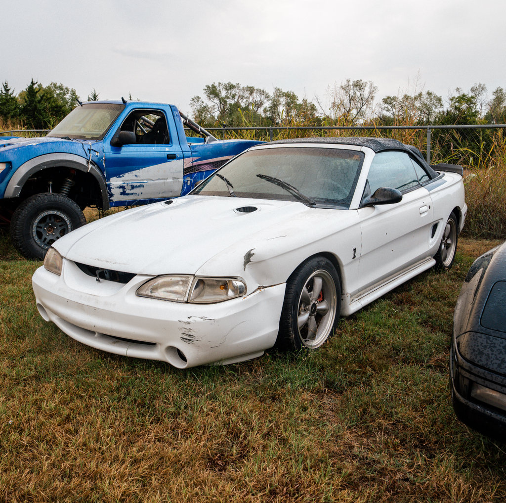 COBRA MUSTANG| DEPOSIT ONLY